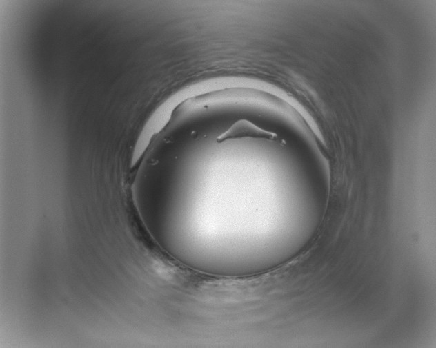 X0000070170025200606091452
