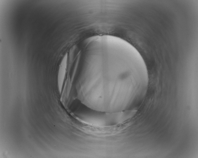 X0000070170027200606091452