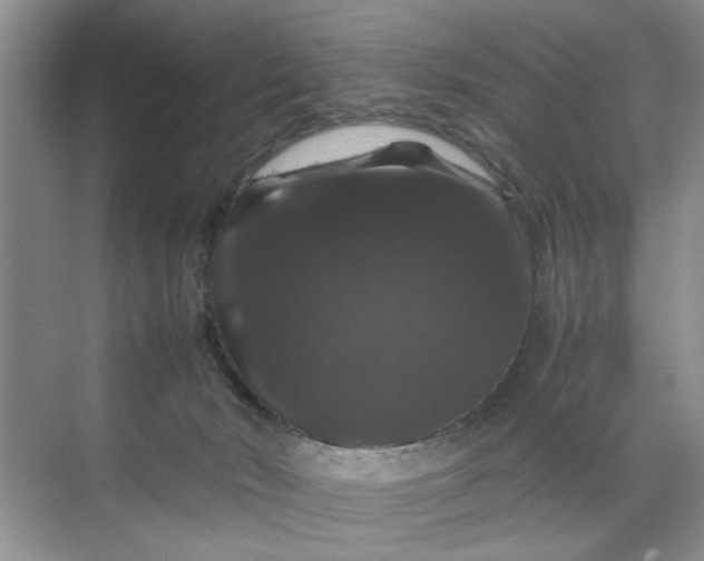 X0000070170030200606091452
