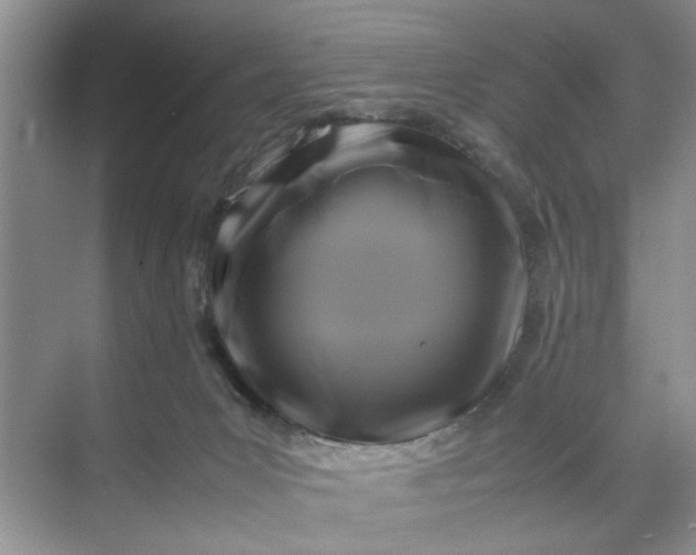 X0000070170031200606091452