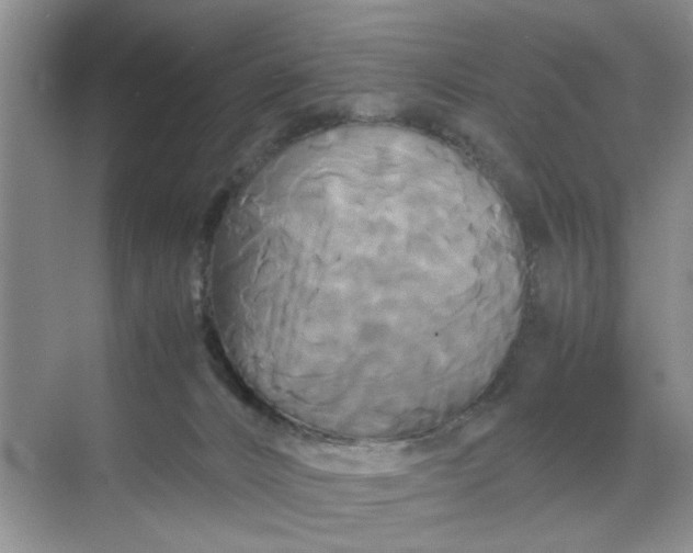 X0000070170032200606091452