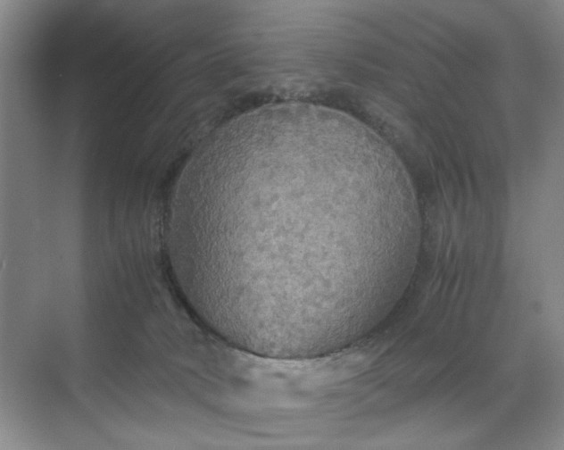 X0000070170034200606091452