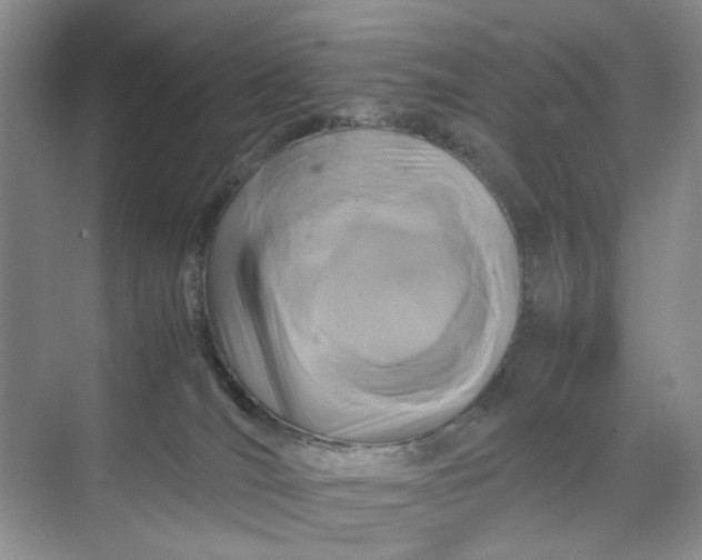 X0000070170036200606091452