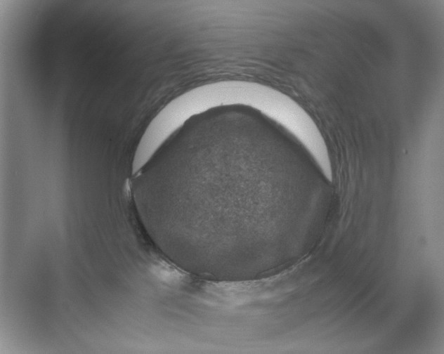 X0000070170041200606091452