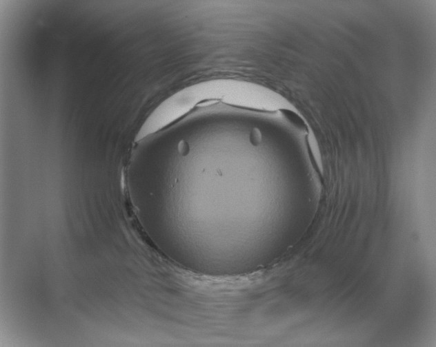 X0000070170042200606091452