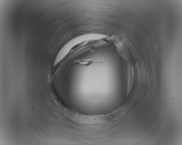 X0000070170044200606091452