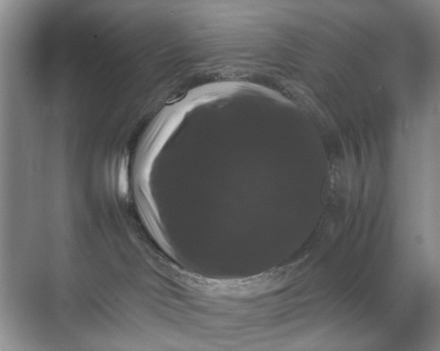 X0000070170046200606091452