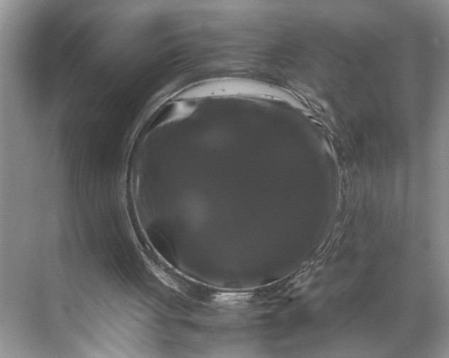 X0000070170051200606091451