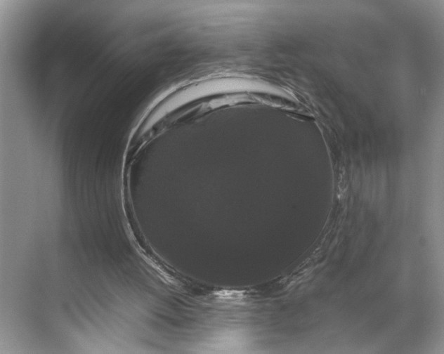 X0000070170052200606091451