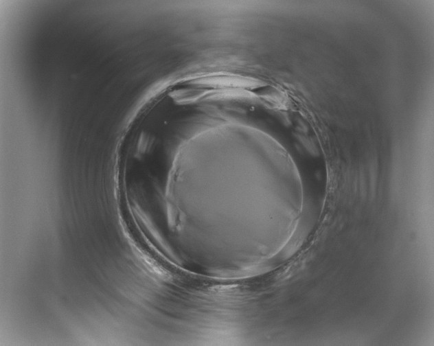 X0000070170054200606091451