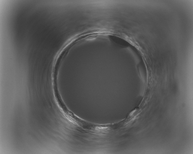 X0000070170055200606091451