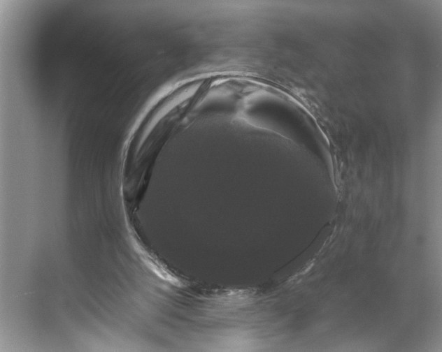 X0000070170056200606091451