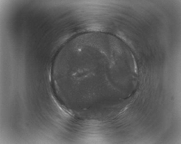 X0000070170062200606091451