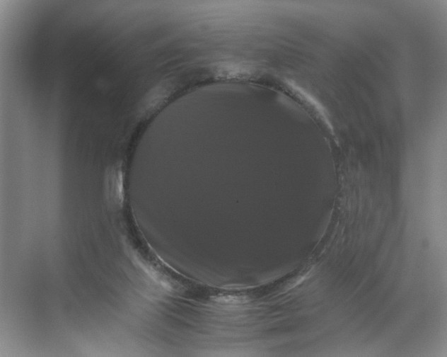 X0000070170067200606091451