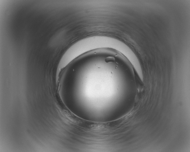 X0000070170074200606091451