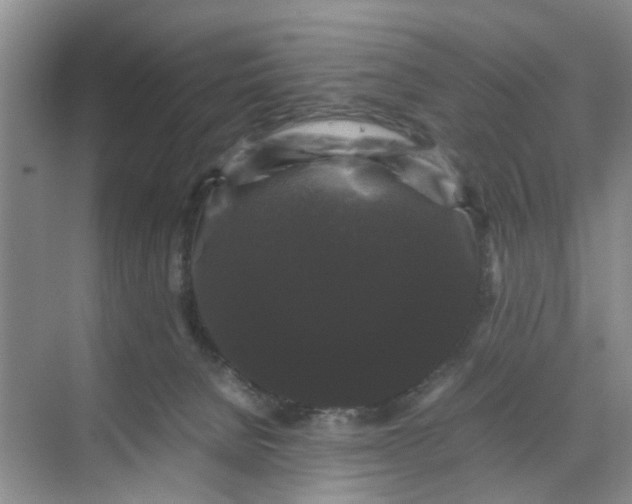 X0000070170080200606091452