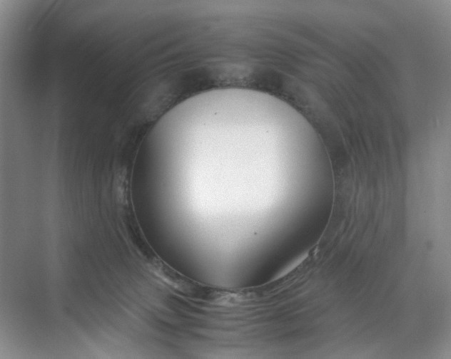X0000070170083200606091452