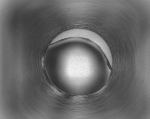 X0000070170094200606091452