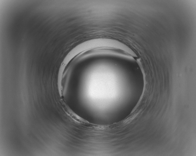 X0000070170096200606091452