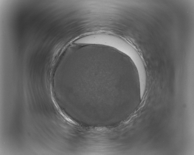 X0000070170097200606091451