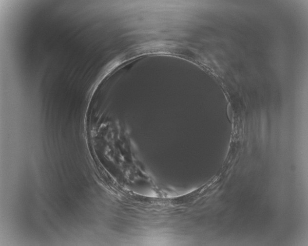 X0000070170099200606091451