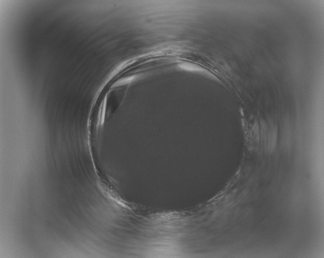 X0000070170100200606091451