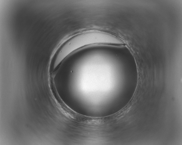 X0000070170102200606091451