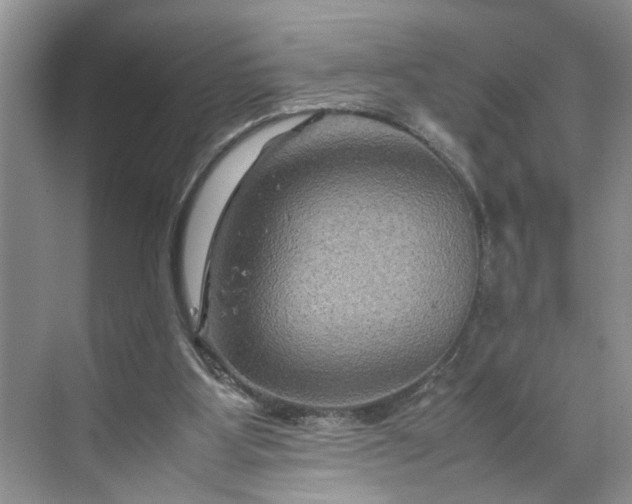 X0000070170107200606091451