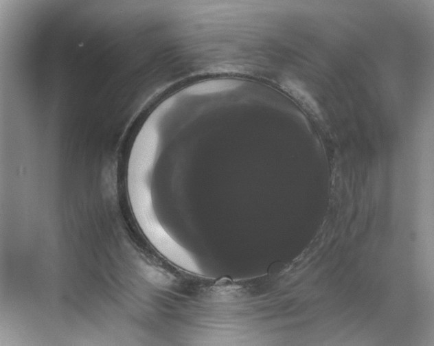 X0000070170108200606091451