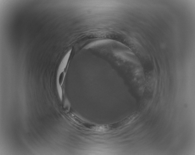 X0000070170131200606091450
