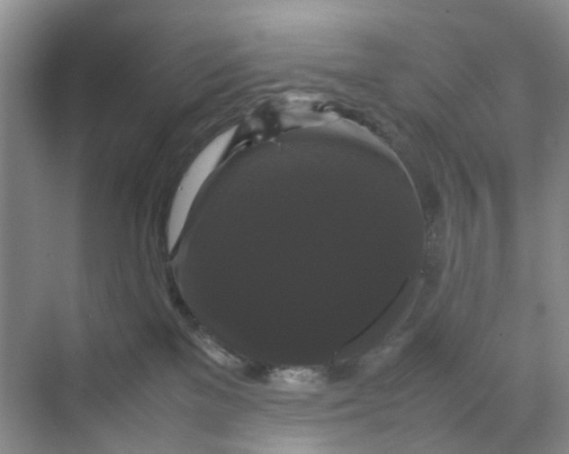 X0000070170137200606091450