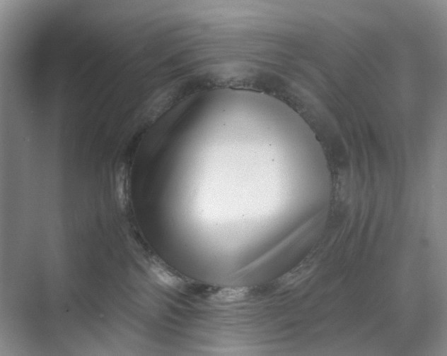 X0000070170138200606091450