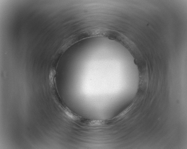 X0000070170142200606091450