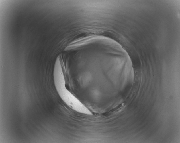 X0000070170143200606091450