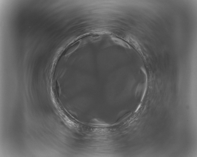 X0000070170145200606091449