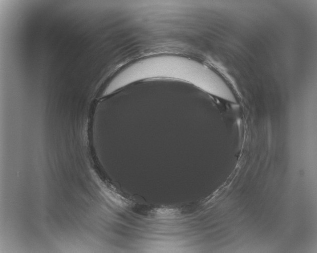 X0000070170154200606091450