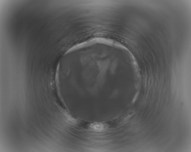 X0000070170181200606091450