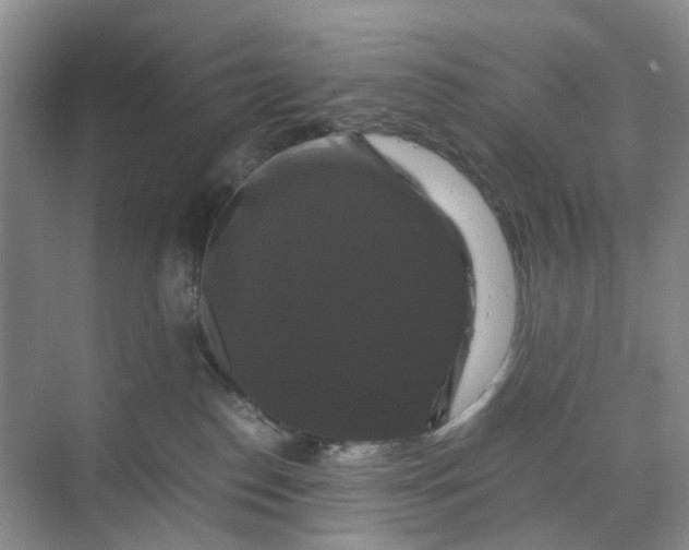 X0000070170186200606091450