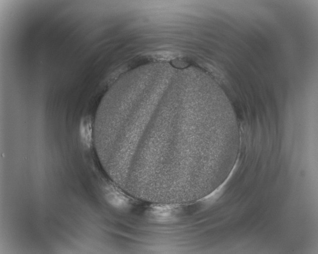 X0000070170190200606091450