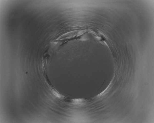 X0000070170192200606091450