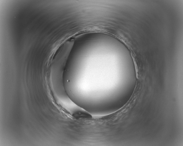 X0000070170193200606091449