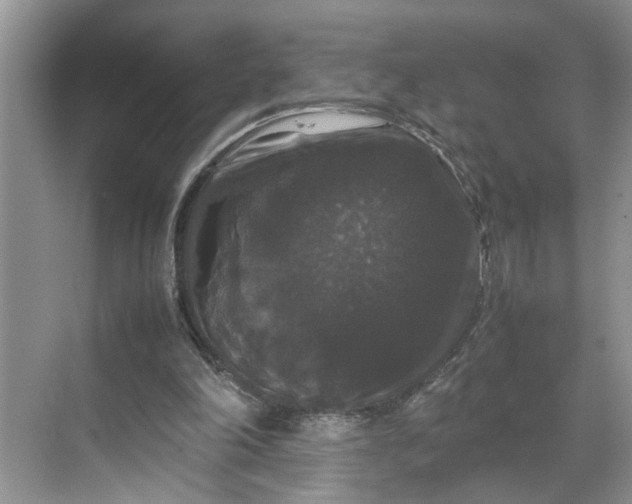 X0000070170198200606091449