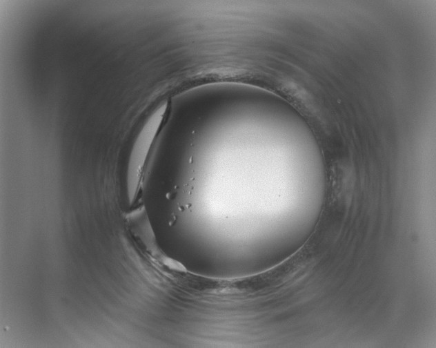 X0000070170212200606091449