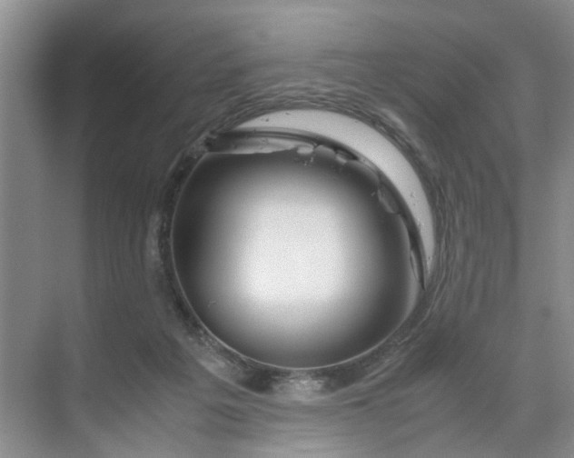 X0000070170217200606091449
