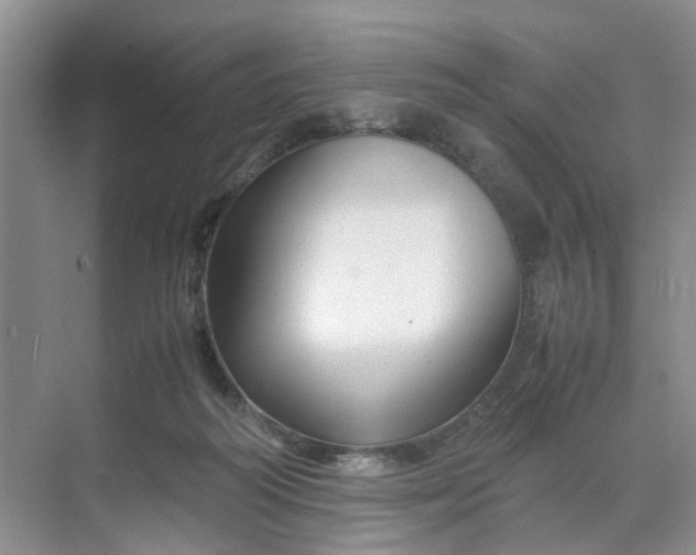 X0000070170218200606091449