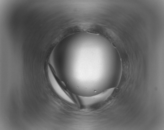 X0000070170221200606091449