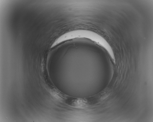X0000070170223200606091449