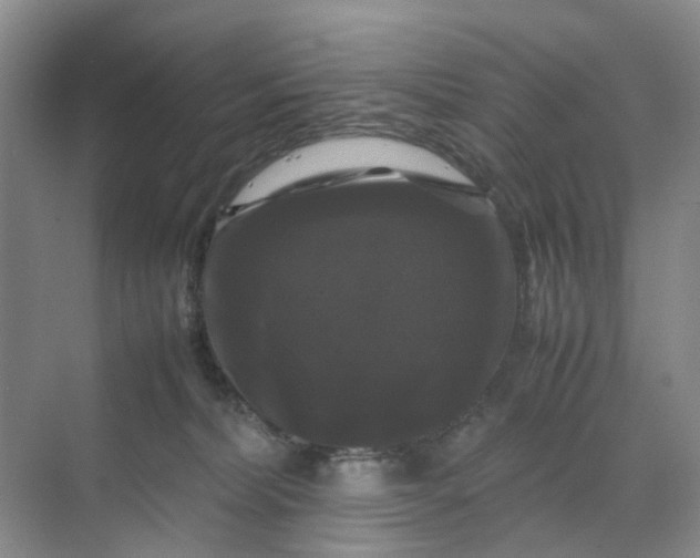 X0000070170228200606091449