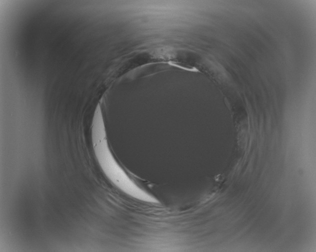 X0000070170229200606091449