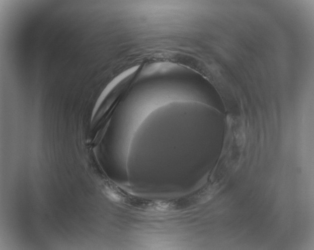 X0000070170235200606091449